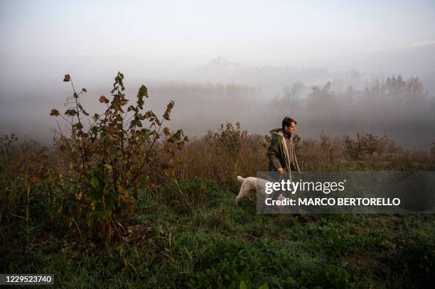 Truffle hunter Carlo Marenda and his dog Buc walk through the Langhe Countryside as they search for white truffles in Roddi, near Alba, north-western...