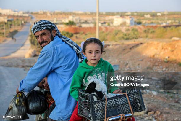 58 Girl Riding Sheep Stock Photos, High-Res Pictures, and Images ...