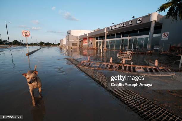 The Ramon Villeda Morales airport is seen after it was flooded by Tropical Storm Eta on November 8, 2020 in San Pedro Sula, Honduras. Eta entered...