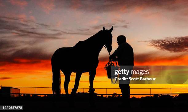 Shockingly arrives during trackwork at Ladbrokes Park Lakeside Racecourse on November 10, 2020 in Springvale, Australia.