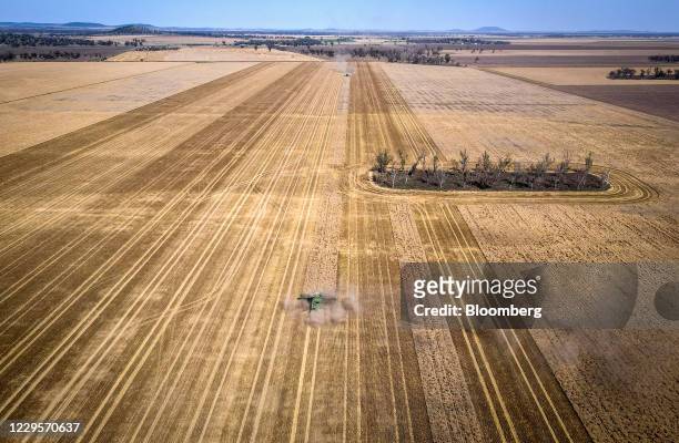 Farmer operates a combine harvester during a wheat harvest at a farm near Gunnedah, New South Wales, Australia, on Tuesday, Nov. 10, 2020. Media...