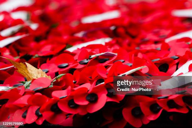 Poppy wreaths marking Armistice Day rest at the foot of the Cenotaph war memorial on Whitehall in London, England, on November 11, 2020.