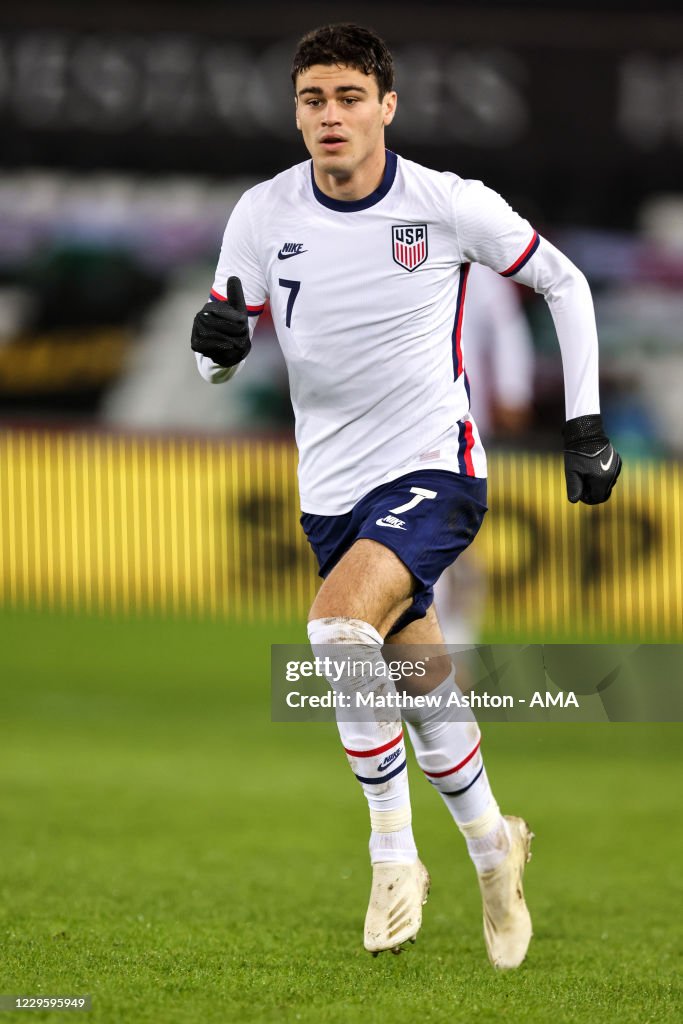 Wales v USA - International Friendly