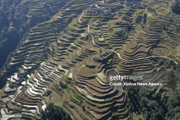 Nov. 12, 2020 -- Aerial photo taken on Nov. 12, 2020 shows terraced fields at Leigong Mountain National Forest Park in Leishan County of Qiandongnan...