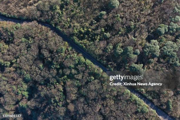 Nov. 12, 2020 -- Aerial photo taken on Nov. 12, 2020 shows the view of Leigong Mountain National Forest Park in Leishan County of Qiandongnan Miao...