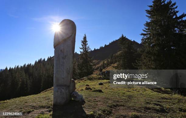 November 2020, Bavaria, Rettenberg: The sun comes out from behind the two meter high wooden penis sculpture. This unusual "cultural monument" has...