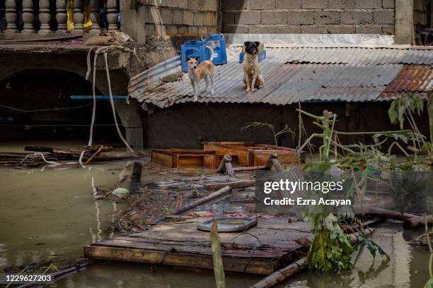 49 Alcala Cagayan Stock Photos, HighRes Pictures, and Images Getty