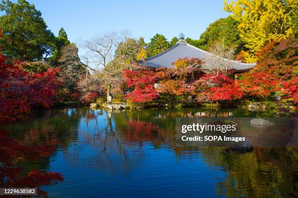 Colored leaves around a pond inside UNESCO World Heritage Daigoji Temple in Kyoto during the Japanese autumn leaves season.