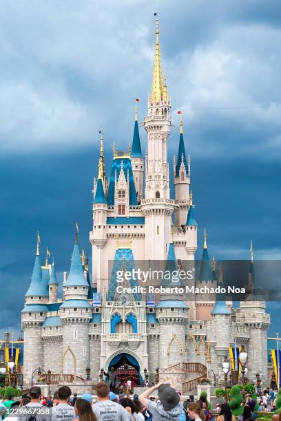 Group of people at the Cinderella Castle in Walt Disney World.