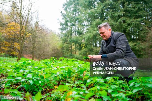 Renee Mathieu Jean Christophe Menu Photos and Premium High Res Pictures - Getty Images