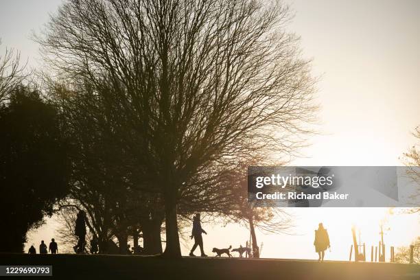 South Londoners out for a late-afternoon walk with their pet dogs, enjoying the last sunlight during the second lockdown of the Cornavirus pandemic,...