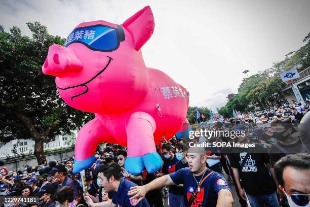 Pigs Protesting Pigs Street Photos and Premium High Res Pictures - Getty Images