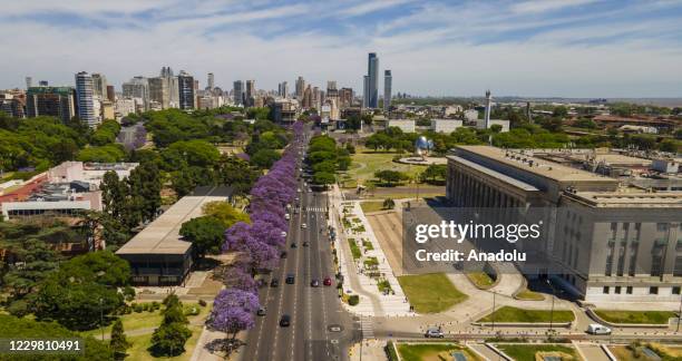 View of the city of Buenos Aires with Jacaranda trees in bloom during spring on November 23, 2020.