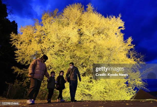 59 Fukaura Aomori Stock Photos, HighRes Pictures, and Images Getty