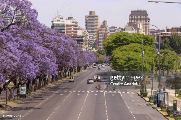 View of the city of Buenos Aires with Jacaranda trees in bloom during spring on November 23, 2020.
