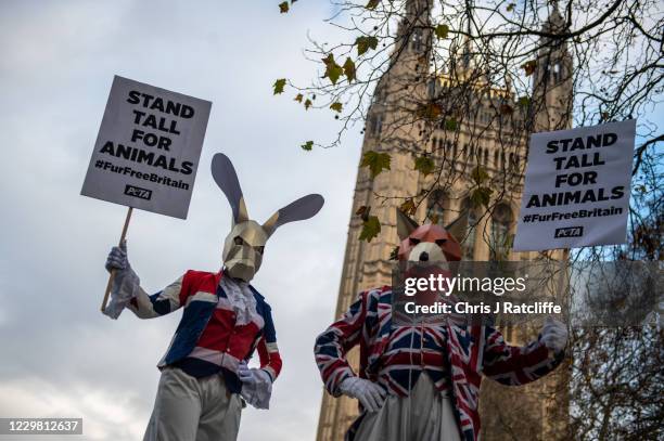 Activists from animal rights group PETA, People for the Ethical Treatment of Animals, demonstrate on Fur Free Friday outside the Houses of Parliament...