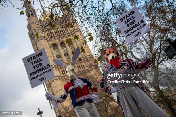 Activists from animal rights group PETA, People for the Ethical Treatment of Animals, demonstrate on Fur Free Friday outside the Houses of Parliament...