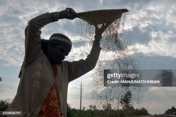 Labourer winnows millet grain to separate it from its chaff at a farm on the outskirts of Bangalore on November 28, 2020.