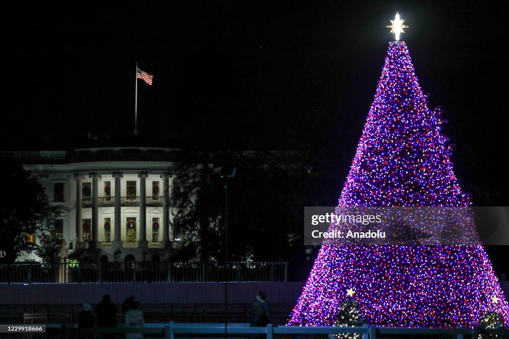 The National Christmas Tree is lit on The Ellipse south of the White