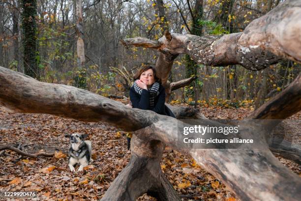 November 2020, Berlin: The actress Julia Brendler during a walk with her dog Istak in the park Schönholzer Heide in Niederschönhausen She plays the...