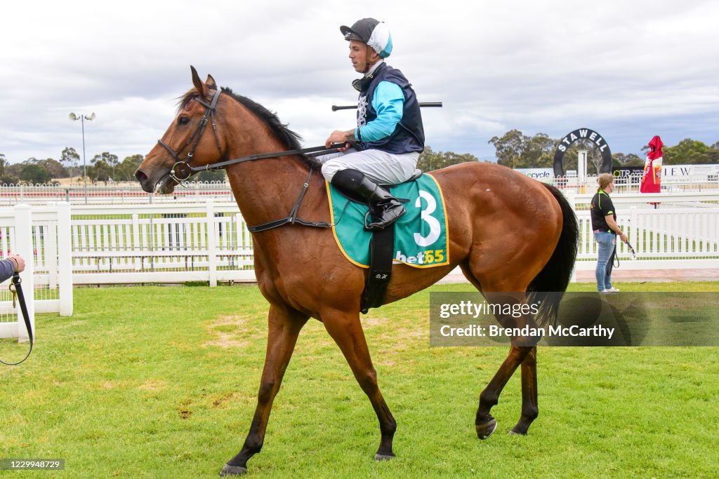 PETstock Stawell Maiden Plate