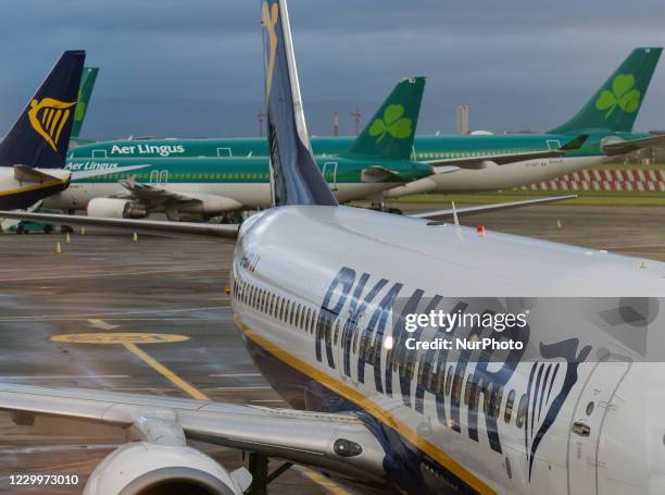 Aer Lingus and Ryanair planes seen grounded at Dublin Airport, during the coronavirus lockdown level 3. The pandemic has had a 'devastating' impact...