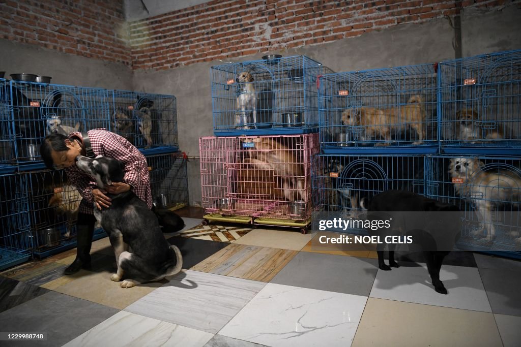 CHINA-ANIMAL-RESCUE