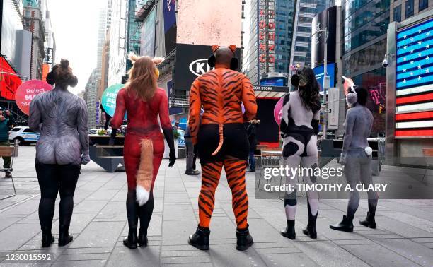 Red Rabbit Protest 21 Us Peta Rabbit Protest Stock Photos, High-Res Pictures, and Images ...