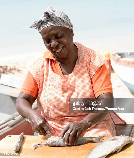 Arlette Worrell cleaning freshly caught fish at Weston fish market in the Parish of St James, near Bridgetown, Barbados, 15th November 2018.