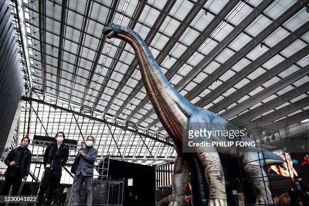 Giant inflatable Brachiosaurus is pictured during a media preview of the Dinoa Live Exhibition / Amazing Dinosaur Art Exhibition in the Shinjuku...