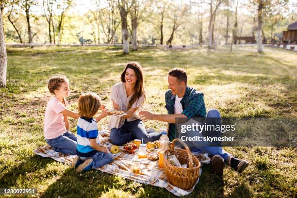 ピクニックにクッキー! - family at a picnic ストックフォトと画像