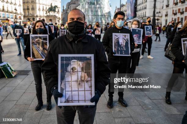 13,288 Animal Rights Protest Photos and Premium High Res Pictures - Getty Images 13,288 Animal Rights Protest Photos and Premium High Res Pictures - Getty Images