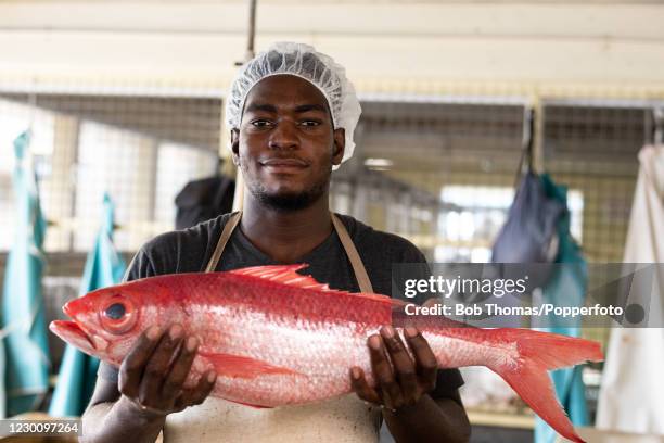 Lamar Phillips holding a red snapper in the fish market at Bridgetown, Barbados, 19th November 2018.