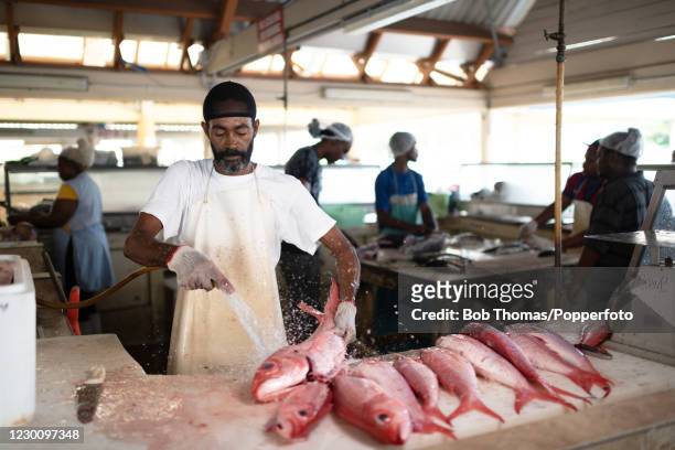 Moses Laudet cleaning some fresh Red Snappers in the fish market at Bridgetown, Barbados, 19th November 2018.