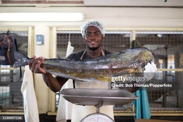 Lamar Phillips working in the fish market at Bridgetown, Barbados, 19th November 2018.