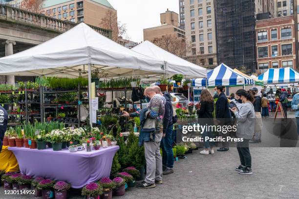 People shopping during Holiday season at Union Square farmers market. Because of COVID-19 pandemic everyone is seen wearing face masks.