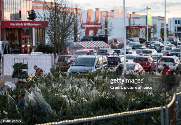 December 2020, North Rhine-Westphalia, Dortmund: Christmas trees are sold on the premises of a hardware store. From Wednesday, DIY stores have to...