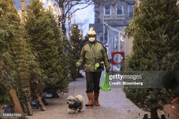 Pedestrian walks a dog near Christmas trees for sale in New York, U.S., on Wednesday, Dec. 16, 2020. A major winter storm is zeroing in on more than...