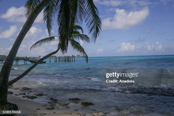 General view of the Johnny Cay Regional Park, home to a wide variety of Iguanas in San Andres Islands, Colombia on December 16, 2020. The island of...