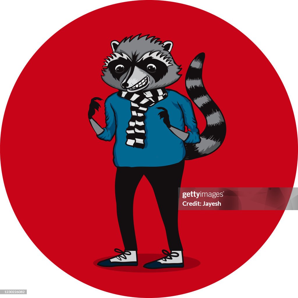 RADICAL RACCOON CARTOON CHARACTER VECTOR ILLUSTRATION & DESIGN