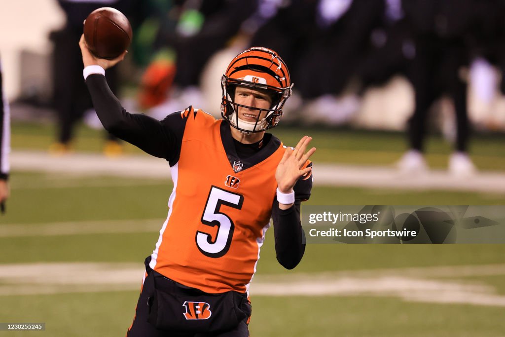 NFL: DEC 21 Steelers at Bengals