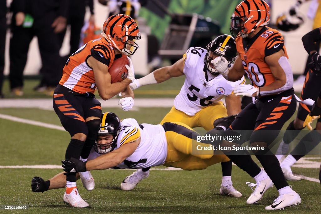 NFL: DEC 21 Steelers at Bengals