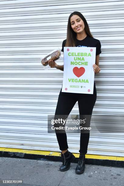 Mexican actress Sofia Sisniega poses for photos during the delivery vegan Christmas dinner; With the support of the Animal Heroe association, the...