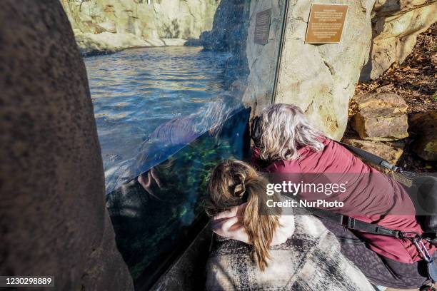 Woman and her daughter look for Fiona the hippo during the annual PNC Festival of Lights Christmas Celebration at the Cincinnati Zoo and Botanical...