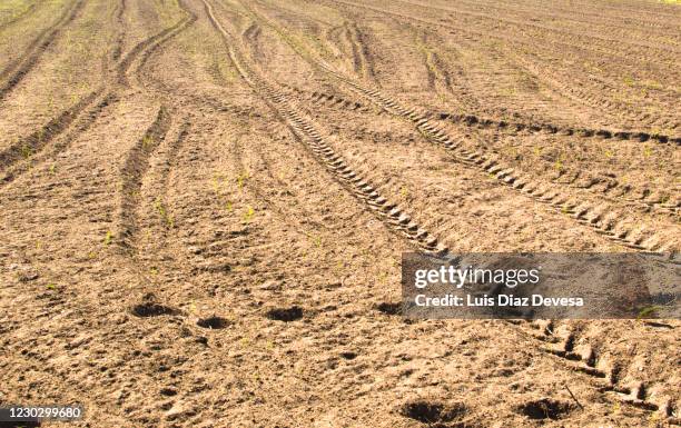 tractor wheel marks on field land - skid marks accident stock pictures, royalty-free photos & images