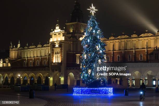 Illuminated Christmas tree seen next to Krakow's Cloth Hall on the Main Market Square. The Krakow Cloth Hall dates to the Renaissance and is one of...
