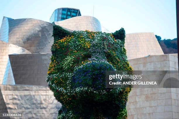 Artist Jeff Koons' "Puppy" is pictured sporting a flowery face mask at the Guggenheim Bilbao Museum in the Spanish Basque city of Bilbao on December...
