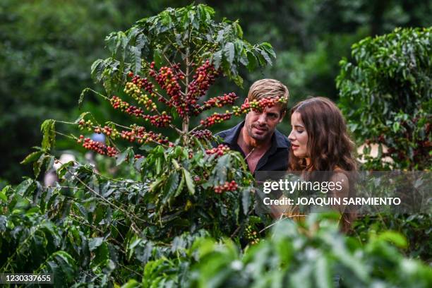 Colombian actress Laura Londono and Cuban actor William Levy perform a scene during the production of a new version of the Colombian soap opera Cafe...