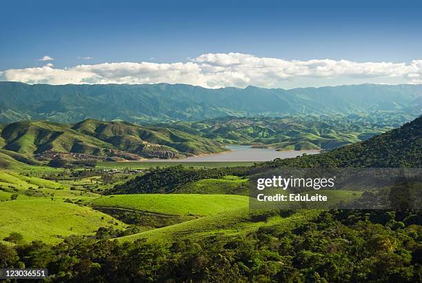 hill hange fundo - tropical tree - fotografias e filmes do acervo