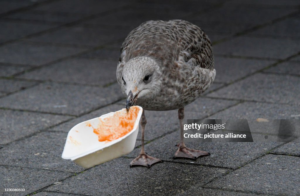 Coronavirus - Kiel